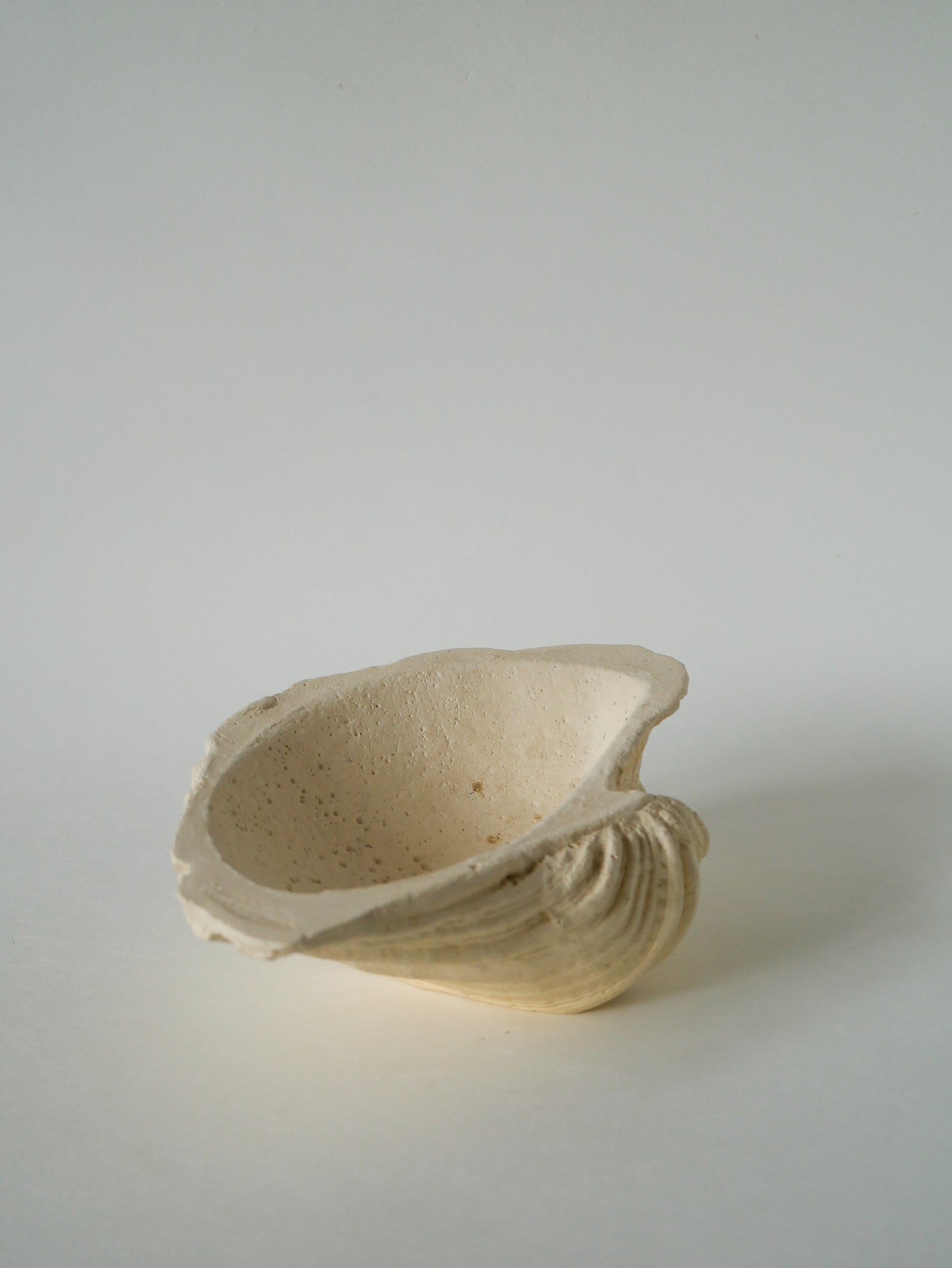 Vide-poche coquillage en plâtre, Design, 1970