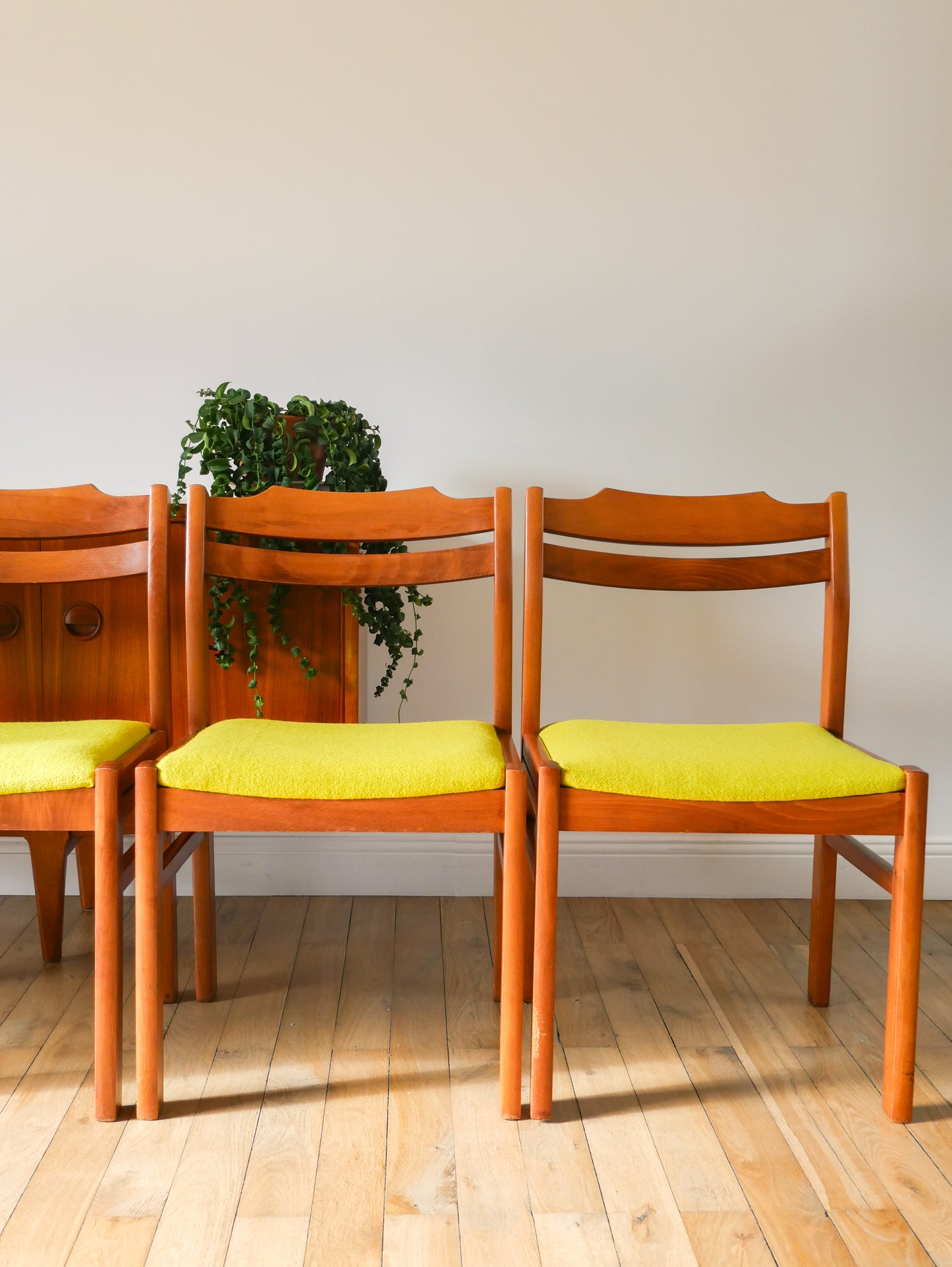 Ensemble de 4 chaises en pin et laine bouillie, Vert, entièrement retapissées, Design Scandinave, 1960