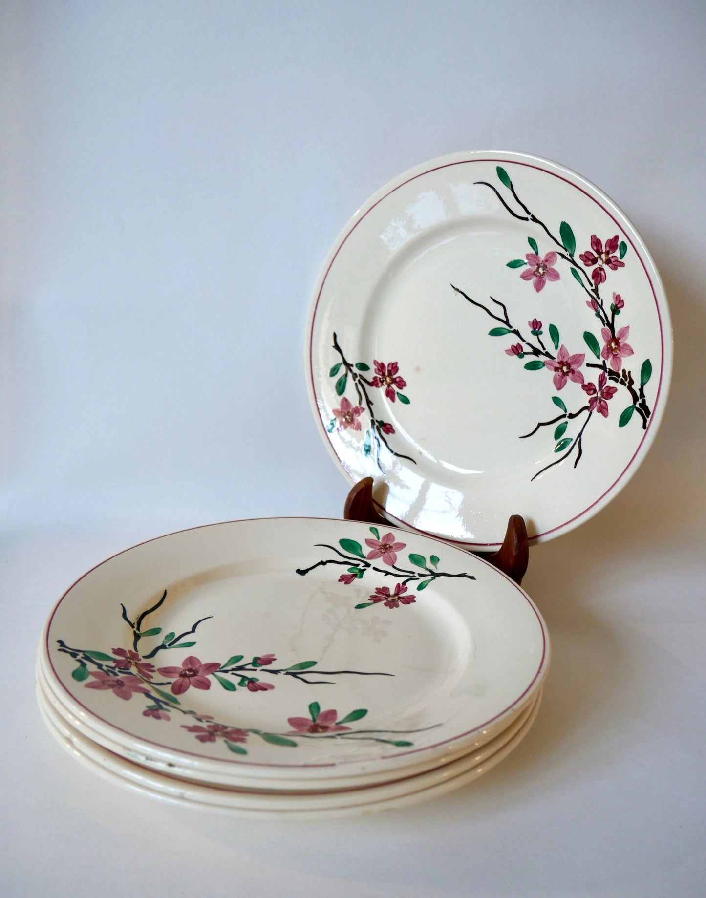 Lot de 5 assiettes plates Digoin Sarreguemines modèle Aigues-Vives peintes à la main années 30-40