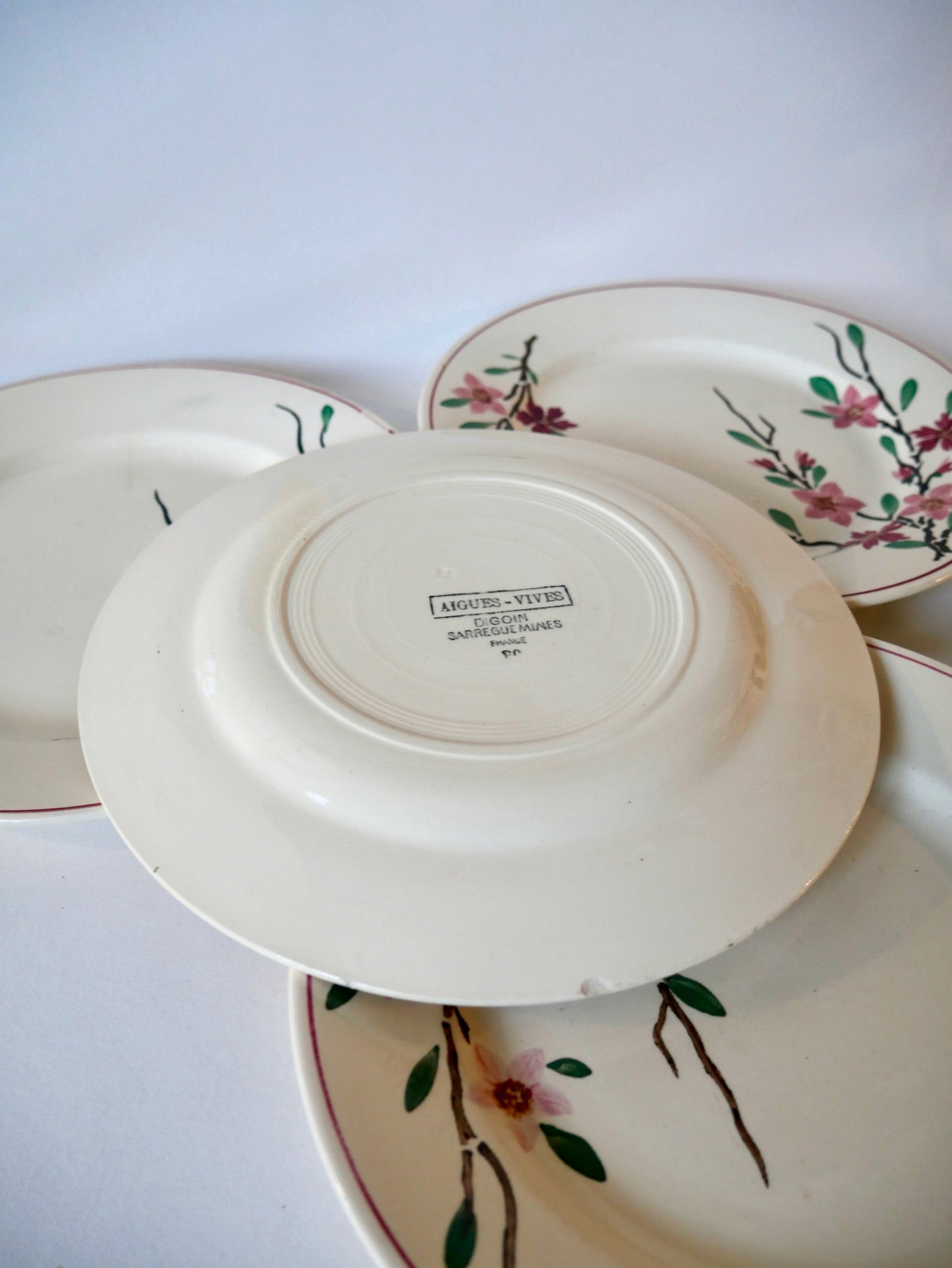 Lot de 5 assiettes plates Digoin Sarreguemines modèle Aigues-Vives peintes à la main années 30-40