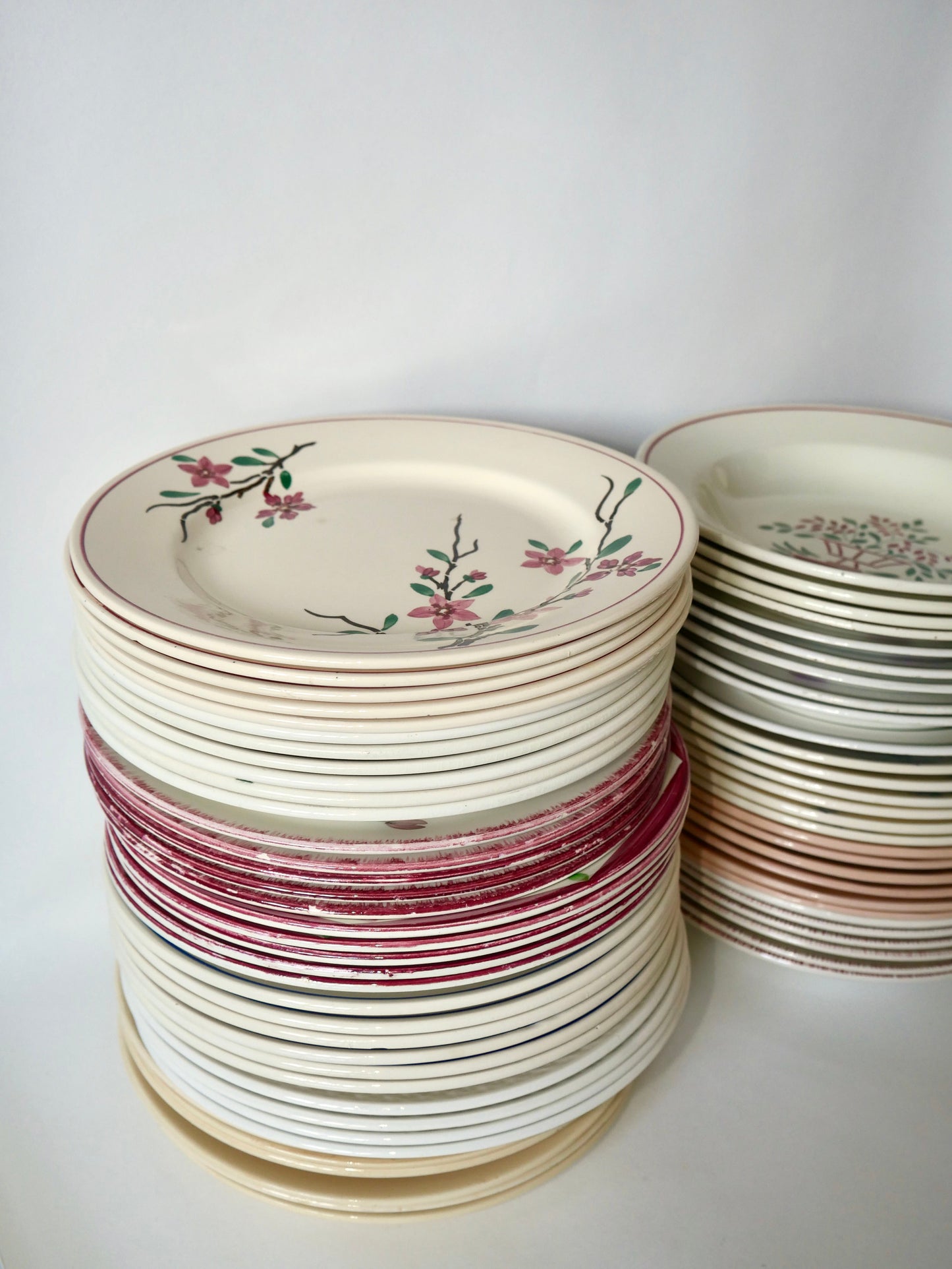 Lot de 6 assiettes plates beiges à fleurs roses Moulin des Loups années 40-50